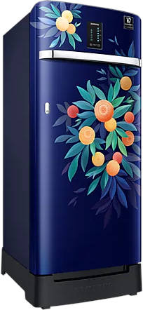 RR23C2F24NK 215 L 4 Star Inverter Direct Cool Single Door Refrigerator