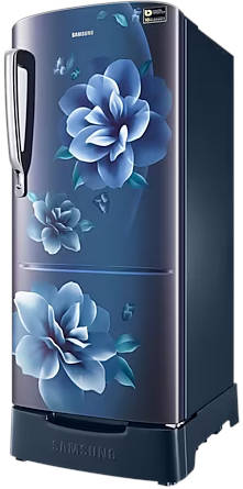 RR20C1824CU 183 L 4 Star Inverter Direct Cool Single Door Refrigerator