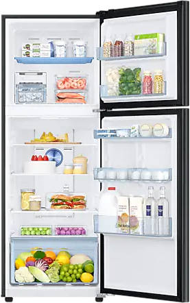 RT34C4522B1 301 L 2 Star Inverter Frost Free Double Door Refrigerator