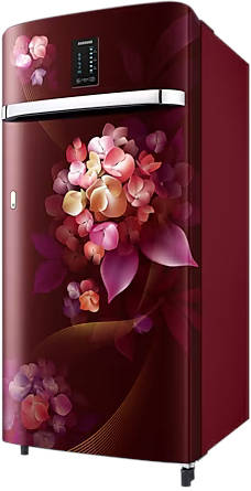 RR21C2E25HT 189 L 5 Star Inverter Direct Cool Single Door Refrigerator