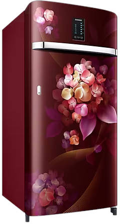 RR21C2E25HT 189 L 5 Star Inverter Direct Cool Single Door Refrigerator