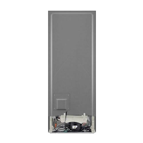 CTC39S21AI 368 Ltr Double Door Refrigerator