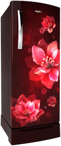 Icemagic Pro (73263) 207 L 5 Star Inverter Direct Cool Single Door Refrigerator