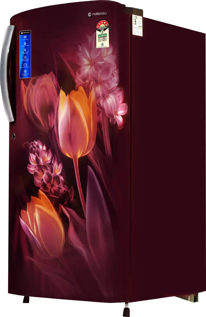 180BD5MR25-R 180 L 5 Star Inverter Direct Cool Single Door Refrigerator
