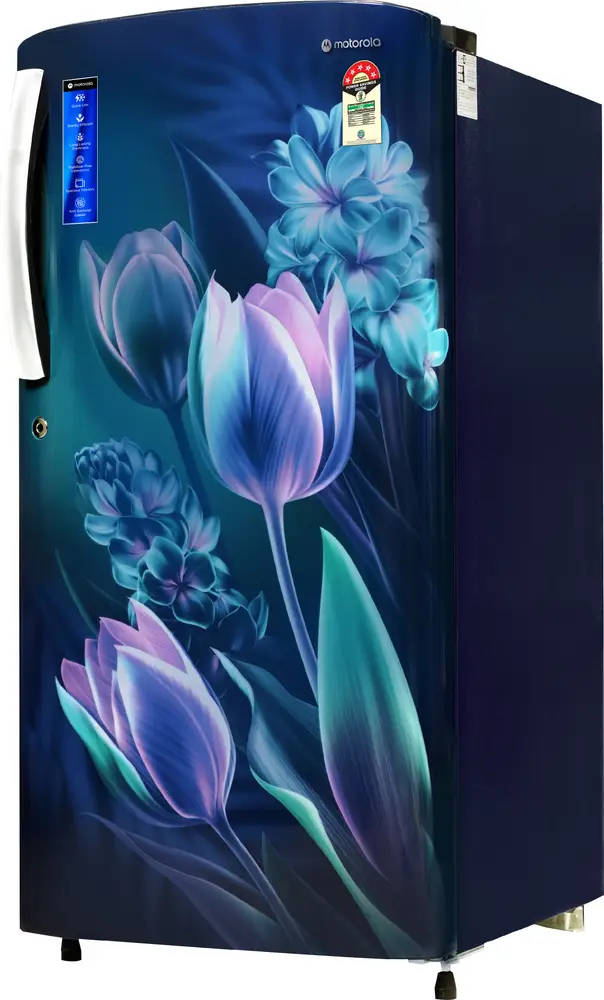 180BD5MR25-B 180 L 5 Star Inverter Direct Cool Single Door Refrigerator
