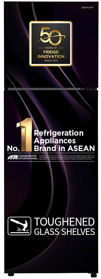 SJ-FF305V2-GKG 265 L 2 Star Frost Free Double Door Refrigerator
