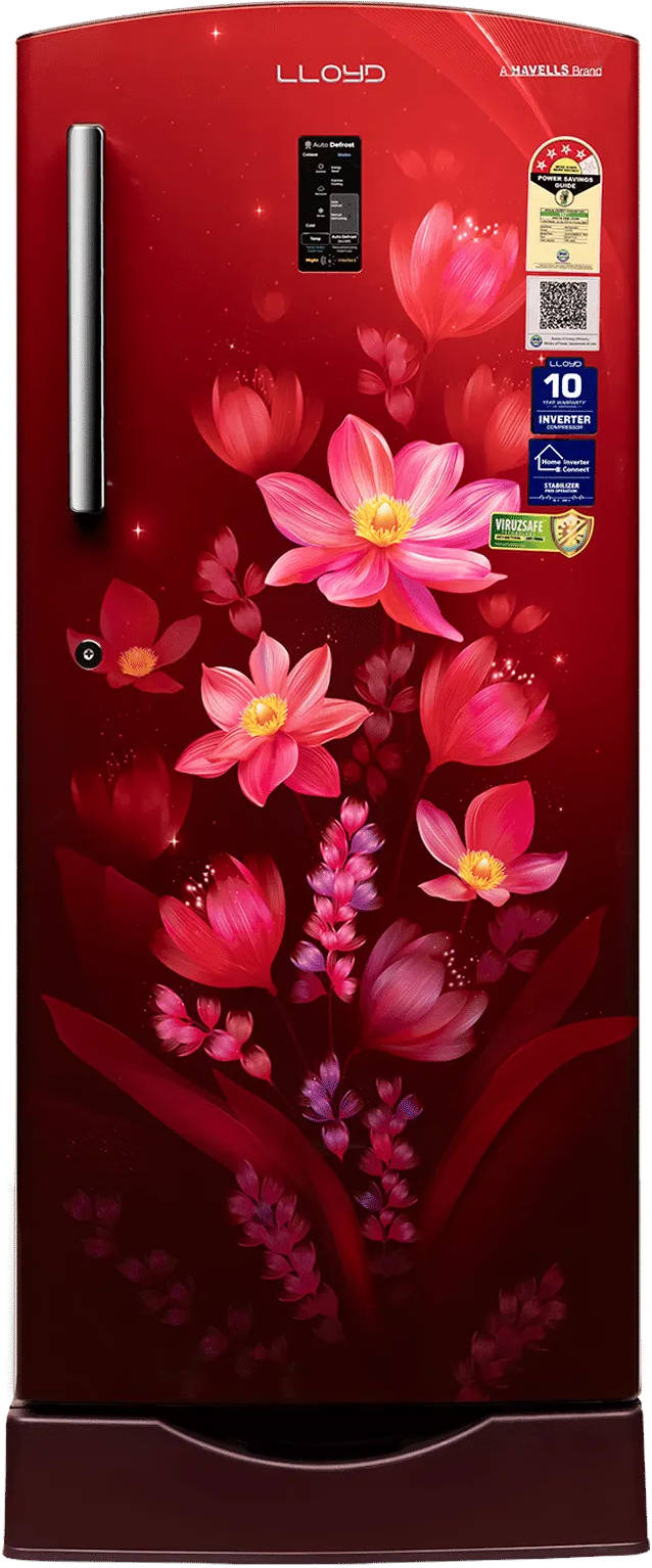 GLDF244SOWB2LC 216 L 4 Star Inverter Direct Cool Single Door Refrigerator