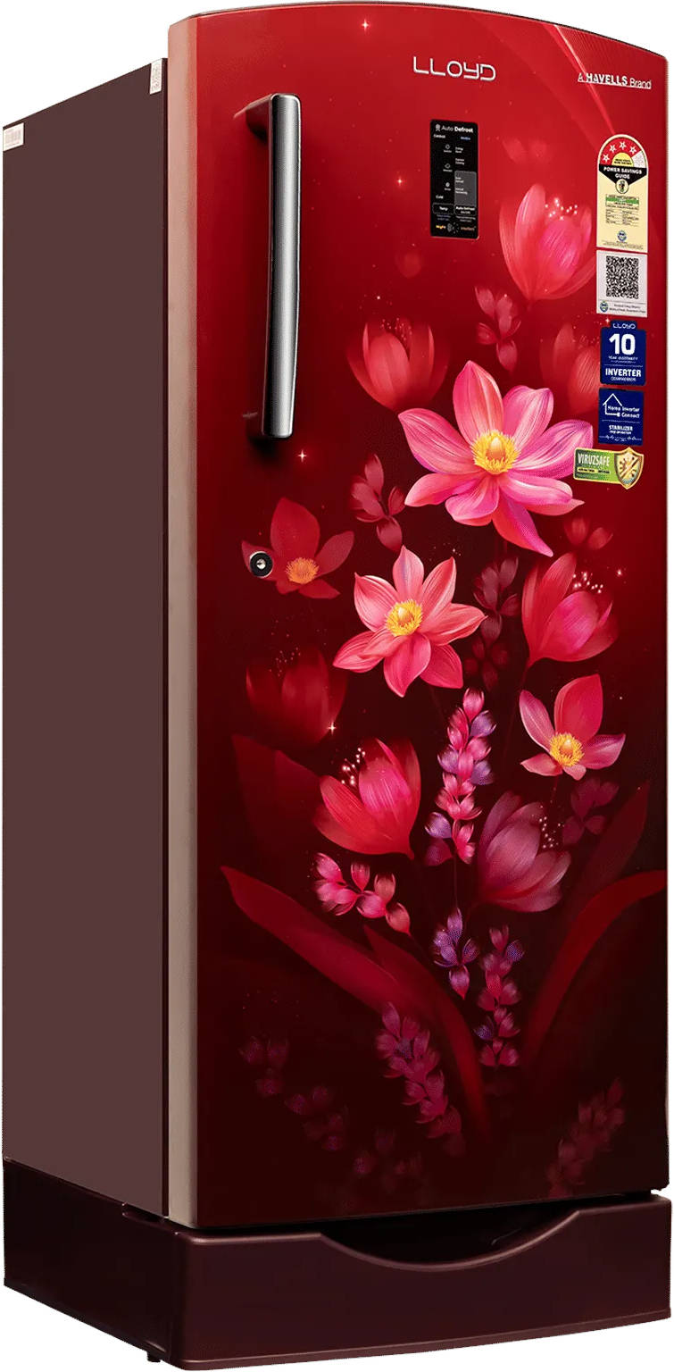 GLDF244SOWB2LC 216 L 4 Star Inverter Direct Cool Single Door Refrigerator