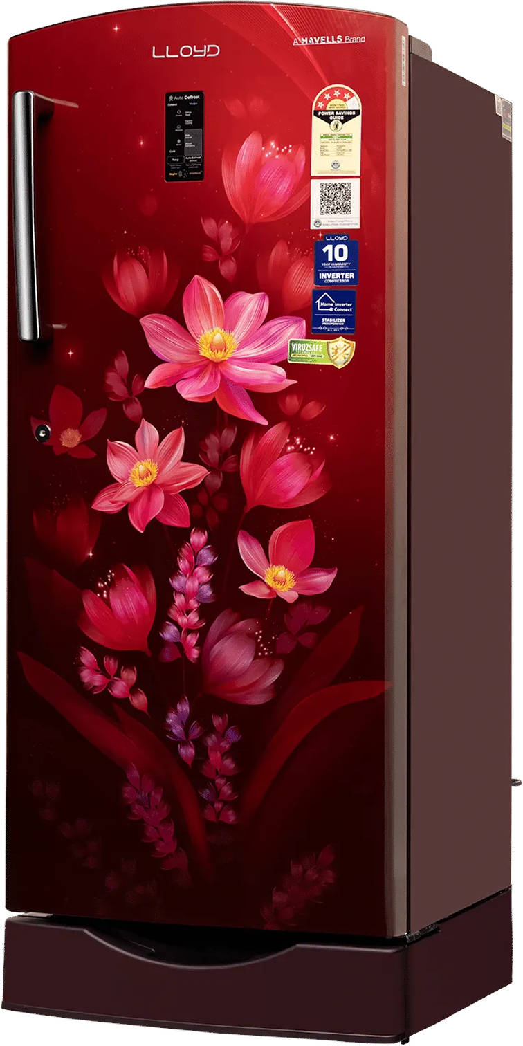GLDF244SOWB2LC 216 L 4 Star Inverter Direct Cool Single Door Refrigerator