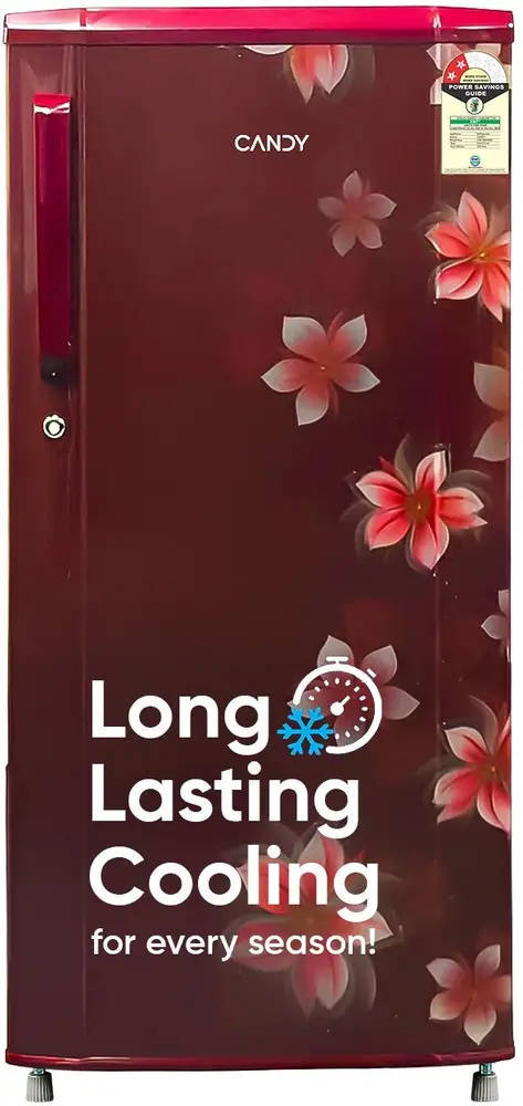 CSD1952RS 185 L 2 Star Direct Cool Single Door Refrigerator