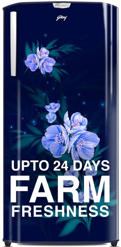 RD EDGENEO 207D THF MP BL 180 L 4 Star Direct Cool Single Door Refrigerator