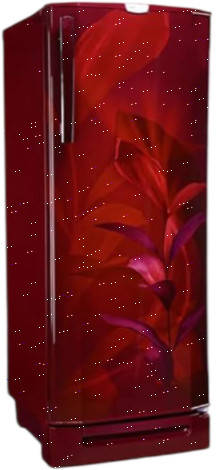 RD EDGEPRO 240C TDF MN WN 234 L 3 Star Inverter Direct Cool Single Door Refrigerator