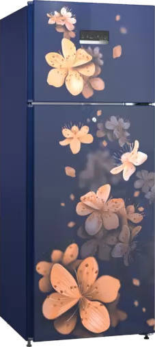 Series 2 CTN27B13NI 263 L 3 Star Inverter Frost Free Double Door Refrigerator