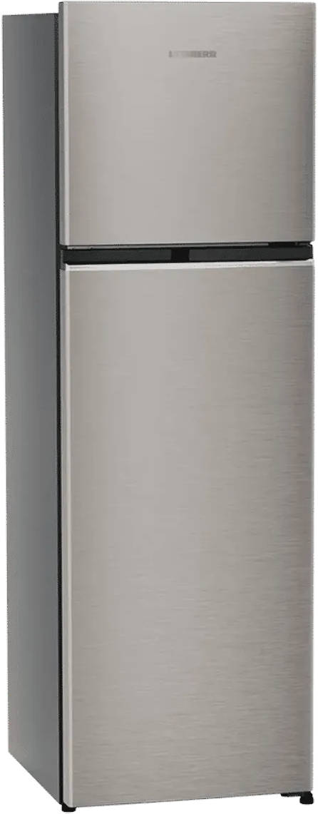 TDHgsB 3111 316 L 2 Star Inverter Direct Cool Double Door Refrigerator
