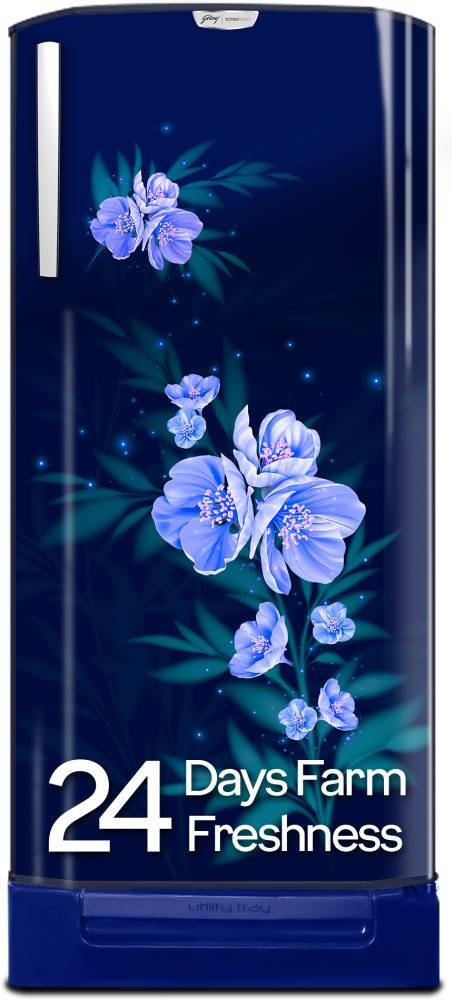 RD EDGENEO 207D TDF MP BL 180 L 4 Star Direct Cool Single Door Refrigerator