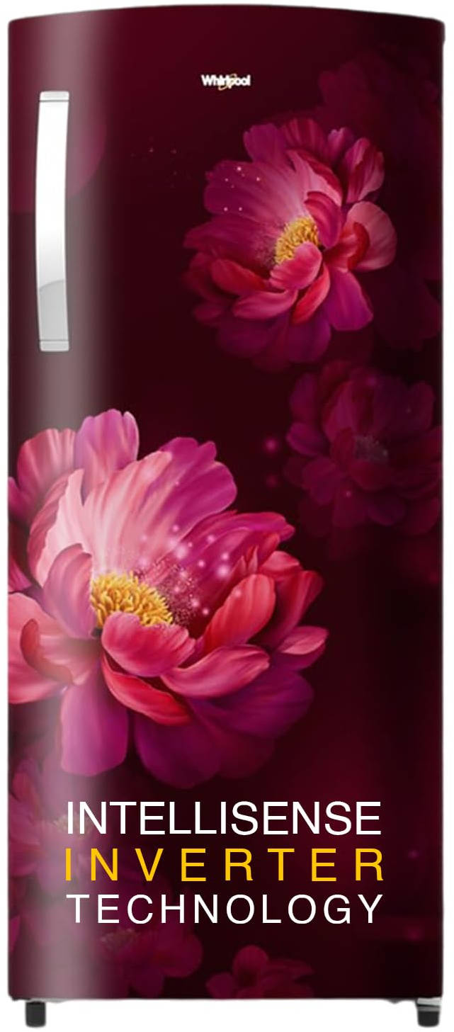 230 IMPRO PRM 3S WINE PEONY-Z 207 L 3 Star Inverter Direct Cool Single Door Refrigerator