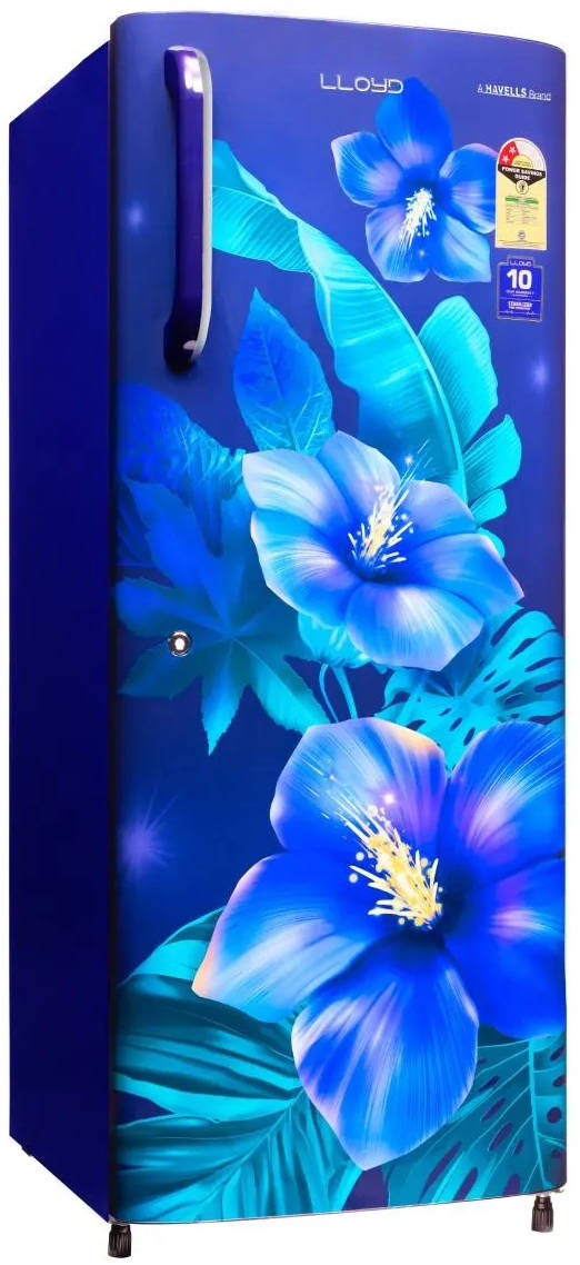 GLDC262GTBT2JC 230 L 2 Star Direct Cool Single Door Refrigerator