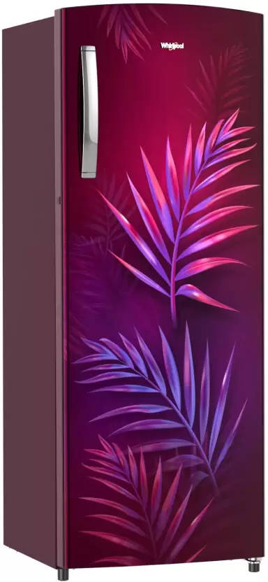 305 IMPRO PLUS PRM 3S 274 L 3 Star Direct Cool Single Door Refrigerator
