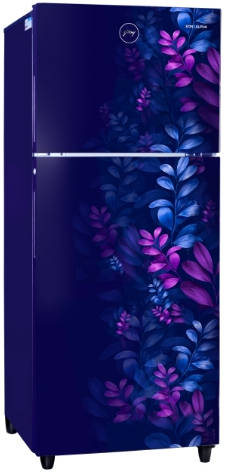 RT EONALPHA 270B RI AR BL 233 L 2 Star Inverter Frost Free Double Door Refrigerator