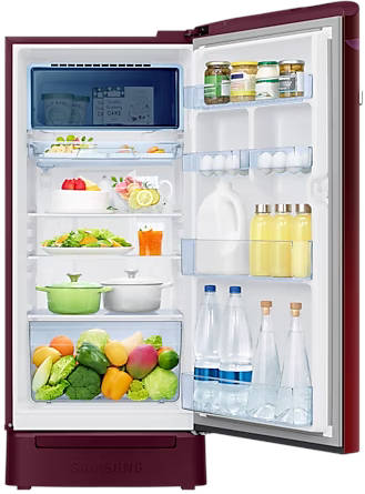 RR21C2F25NJ 189 L 5 Star Inverter Direct Cool Single Door Refrigerator