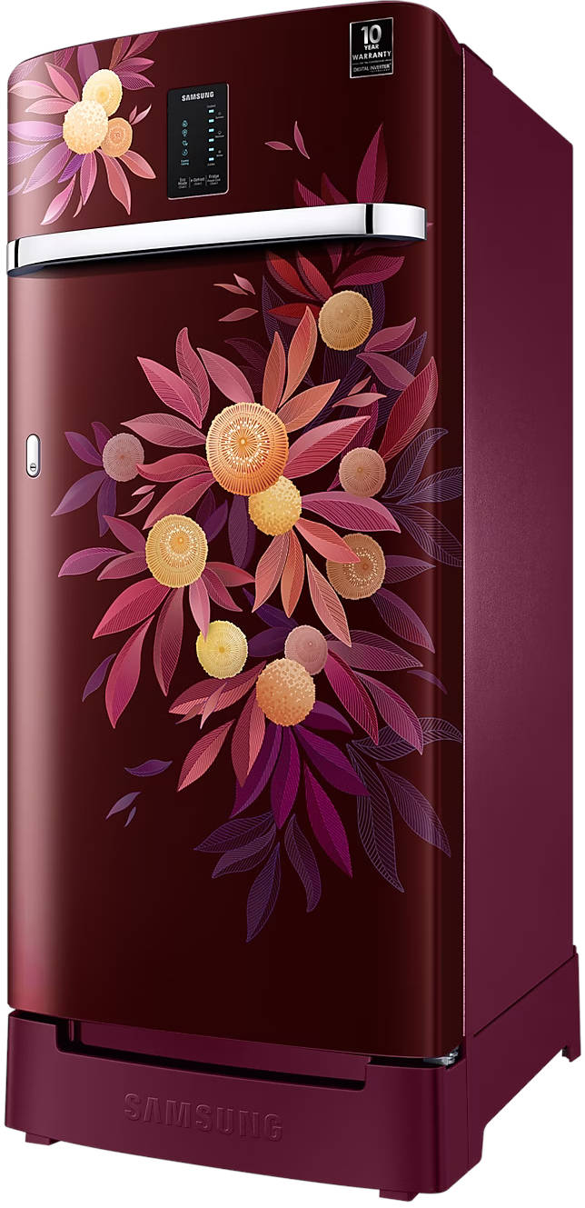 RR21C2F25NJ 189 L 5 Star Inverter Direct Cool Single Door Refrigerator
