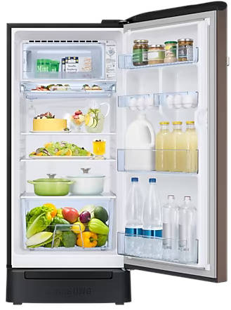RR21C2H25DX 189 L 5 Star Inverter Direct Cool Single Door Refrigerator