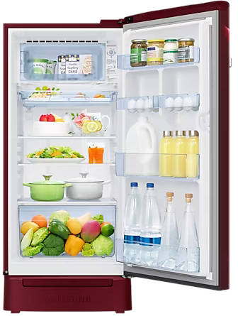RR21C2H25RZ 189 L 5 Star Inverter Direct Cool Single Door Refrigerator