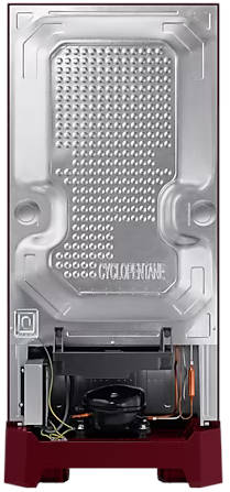 RR21C2H25RZ 189 L 5 Star Inverter Direct Cool Single Door Refrigerator