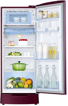 RR20C1823CR 183 L 3 Star Inverter Direct Cool Single Door Refrigerator