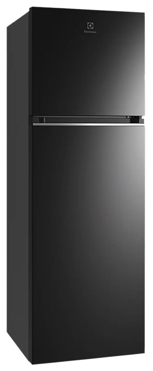 UltimateTaste 300 ETB3700K-H 360 L 2 Star Inverter Frost Free Double Door Refrigerator