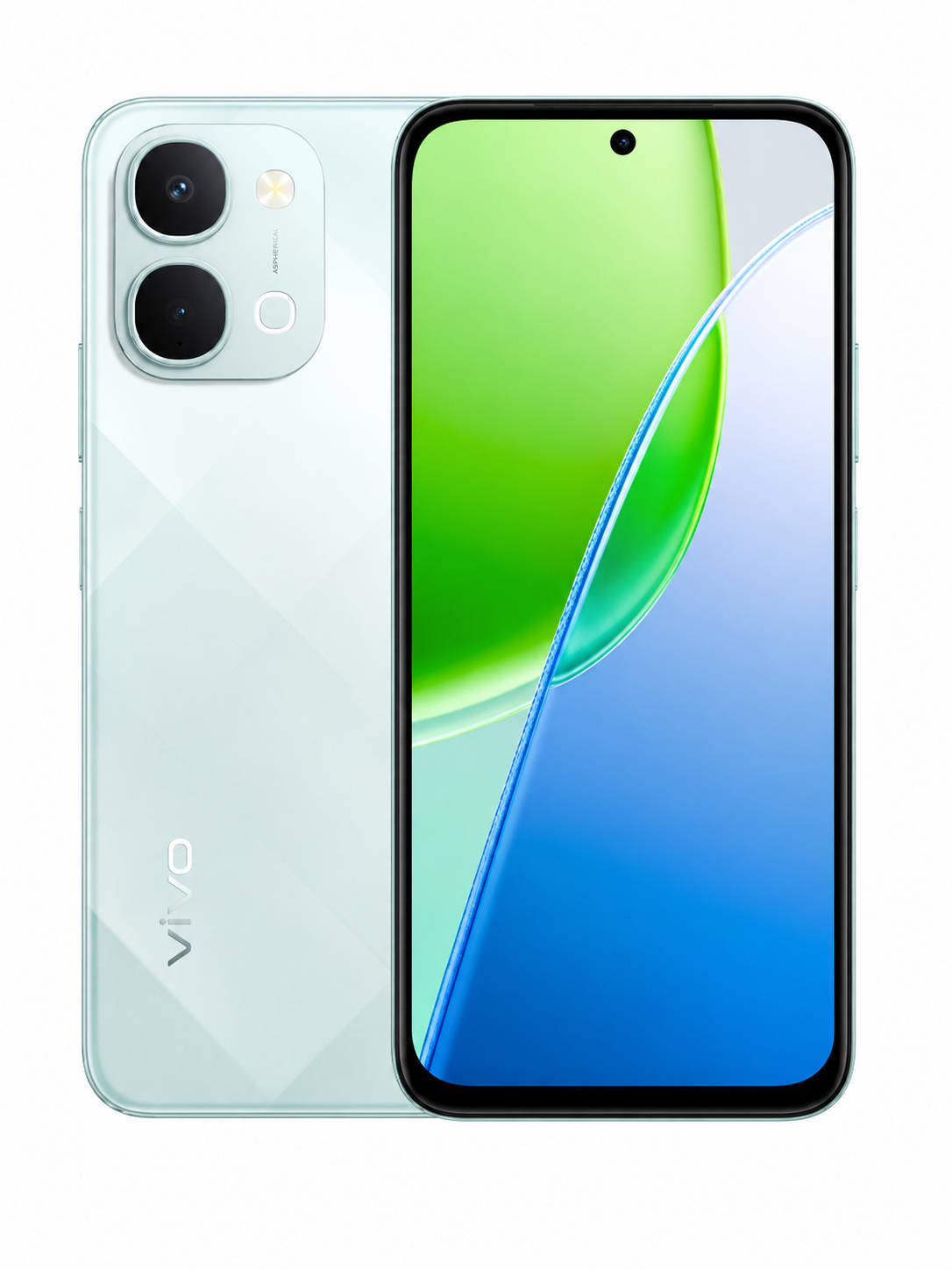 Y31T