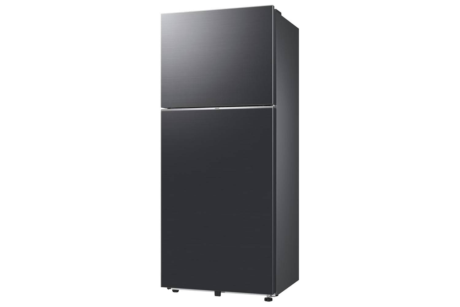 rt41hg6c42s8 396 L 2 Star Frost Free Double Door Refrigerator