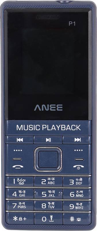 ANEE P1