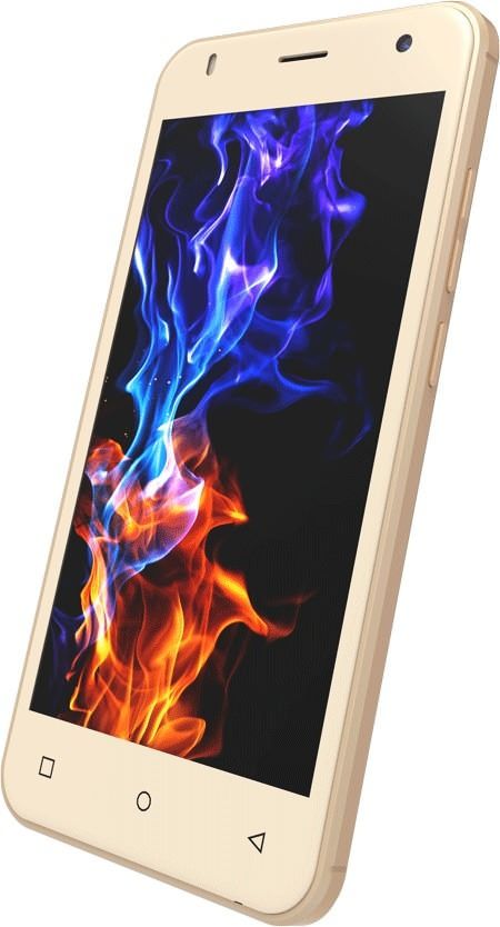 Zen Admire Dragon